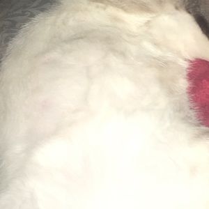 Meet your Posher, Devin